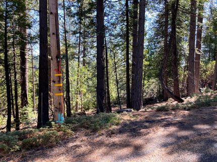 26584 Spring Rd, Pioneer, CA 95666 Photo