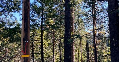 26584 Spring Rd, Pioneer, CA 95666 Photo