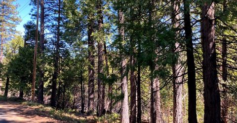 26584 Spring Rd, Pioneer, CA 95666 Photo
