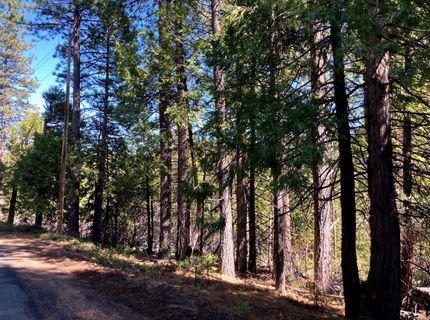 26584 Spring Rd, Pioneer, CA 95666 Photo