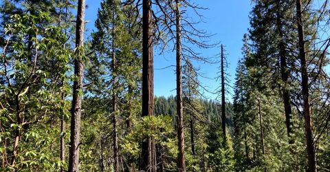 26584 Spring Rd, Pioneer, CA 95666 Photo