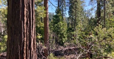 26584 Spring Rd, Pioneer, CA 95666 Photo