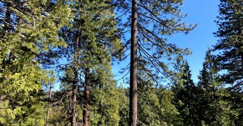 26584 Spring Rd, Pioneer, CA 95666 Photo