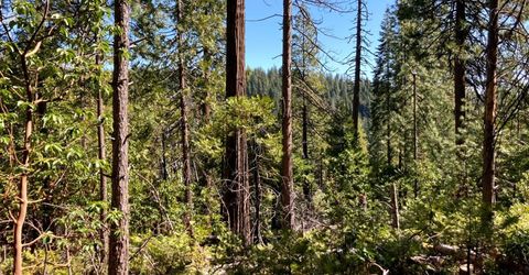 26584 Spring Rd, Pioneer, CA 95666 Photo
