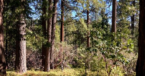 26584 Spring Rd, Pioneer, CA 95666 Photo