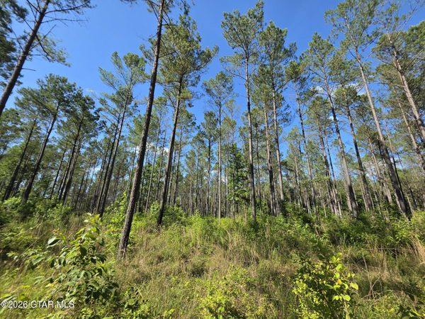 Spay Road, McCool, MS 39108
