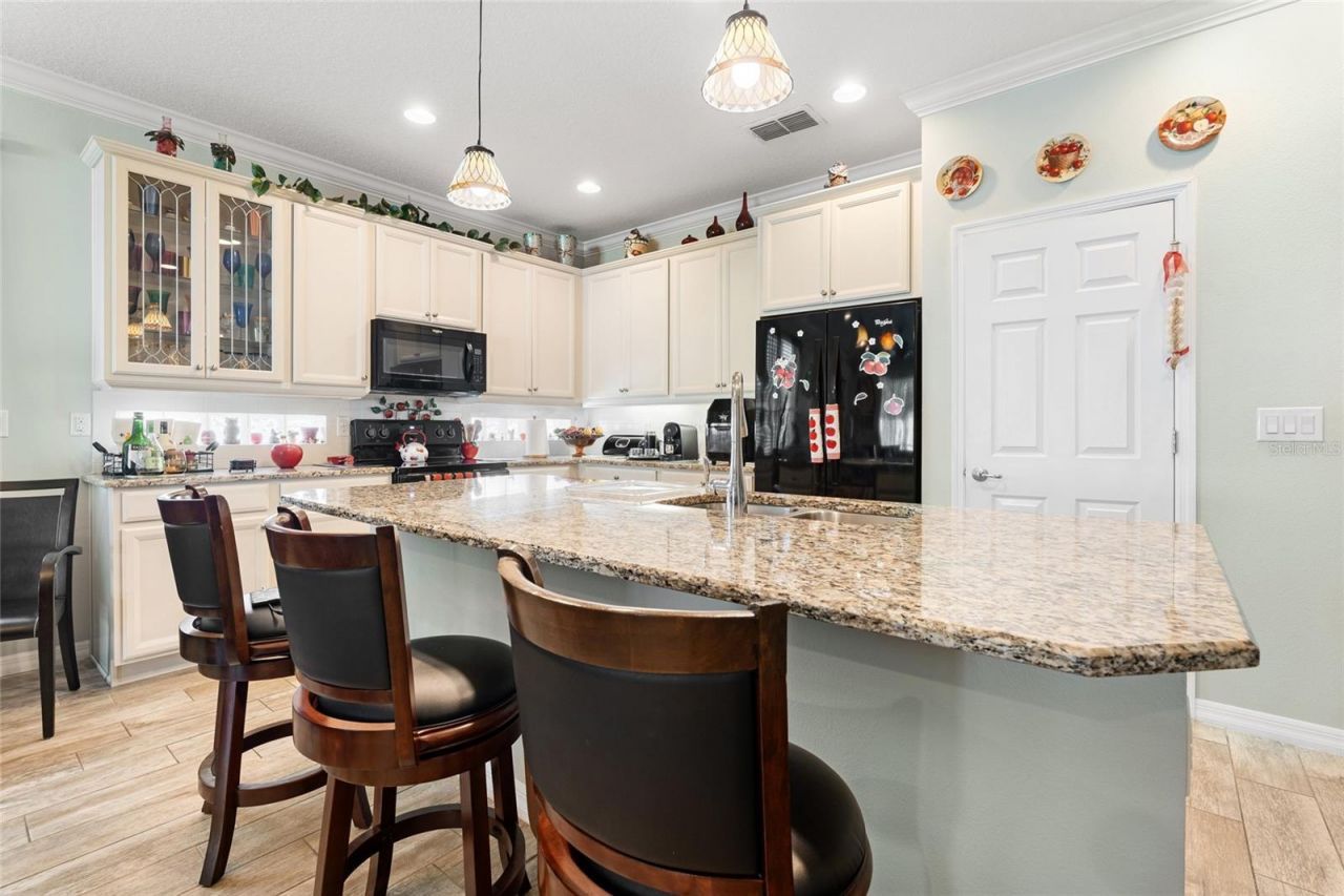 1231 Merion Drive , Mount Dora, FL 32757 Photo
