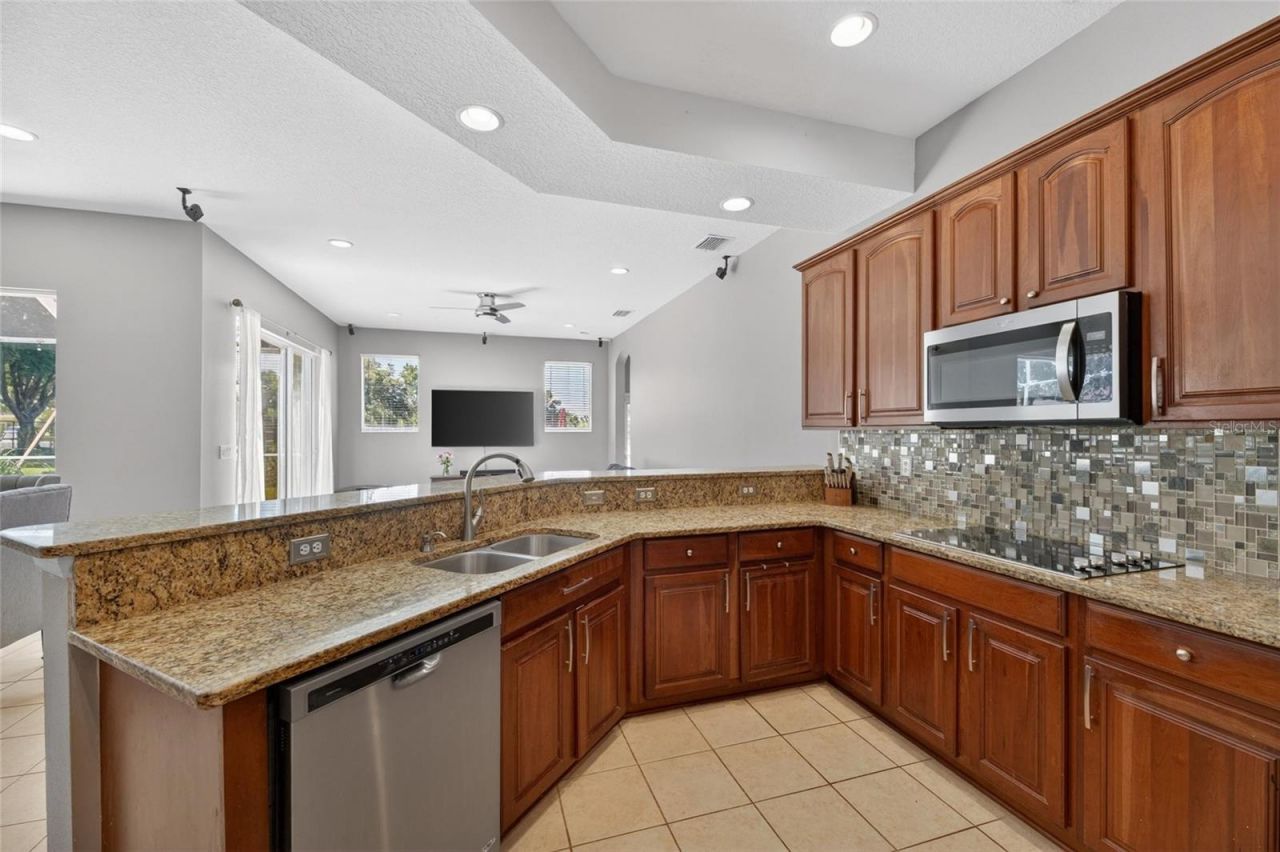 209 Forest Breeze Avenue, Brandon, FL 33511 Photo