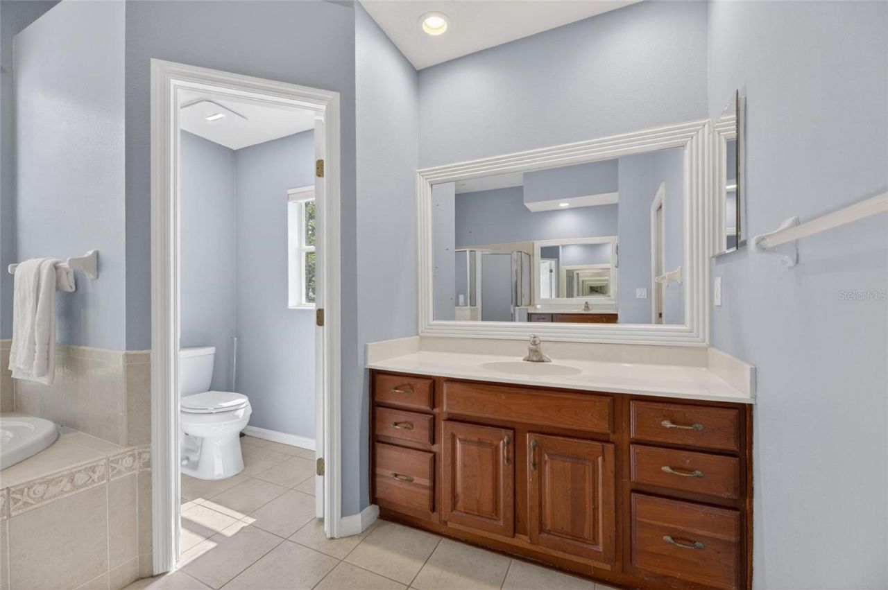 209 Forest Breeze Avenue, Brandon, FL 33511 Photo