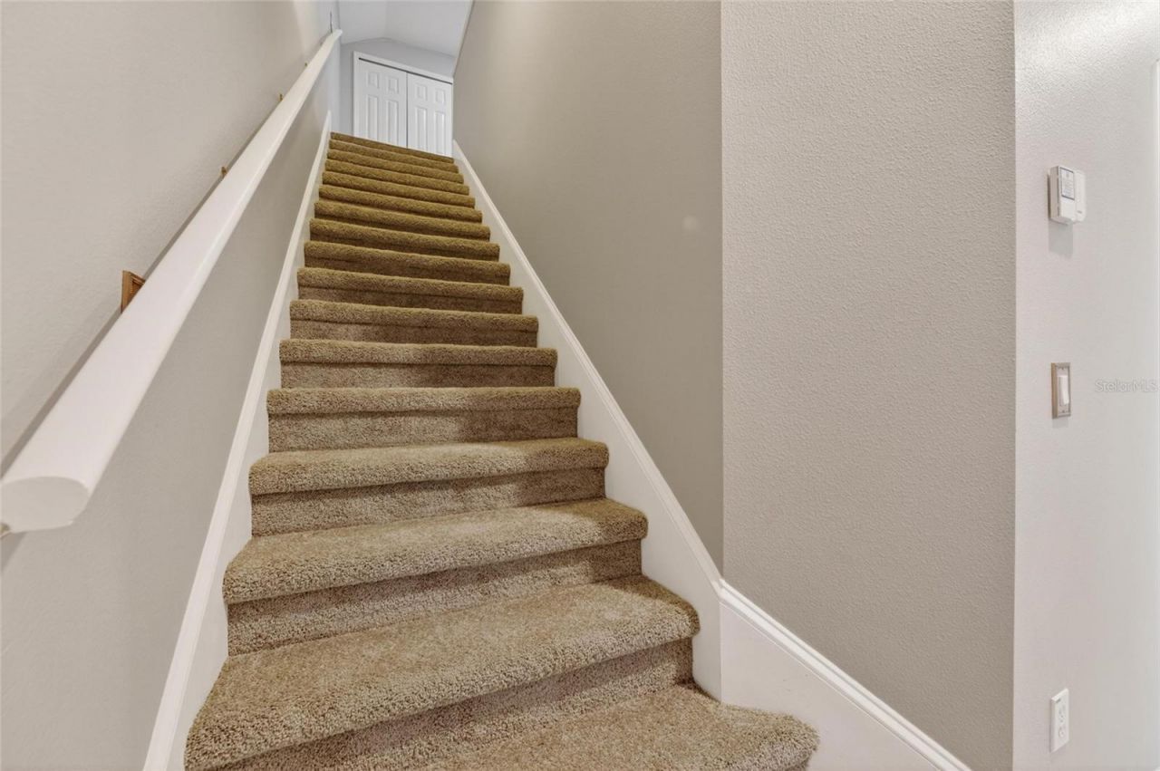 209 Forest Breeze Avenue, Brandon, FL 33511 Photo