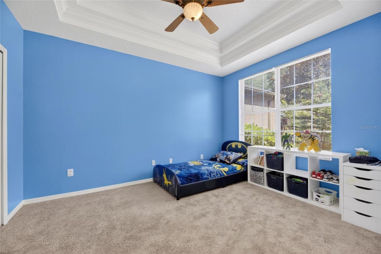209 Forest Breeze Avenue, Brandon, FL 33511 Photo