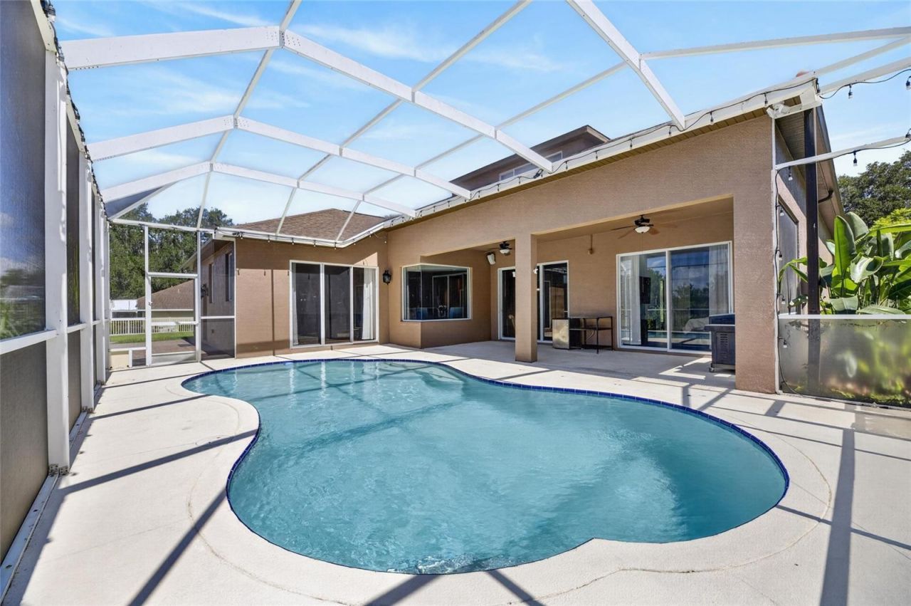 209 Forest Breeze Avenue, Brandon, FL 33511 Photo