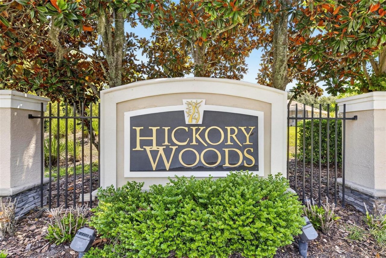 209 Forest Breeze Avenue, Brandon, FL 33511 Photo