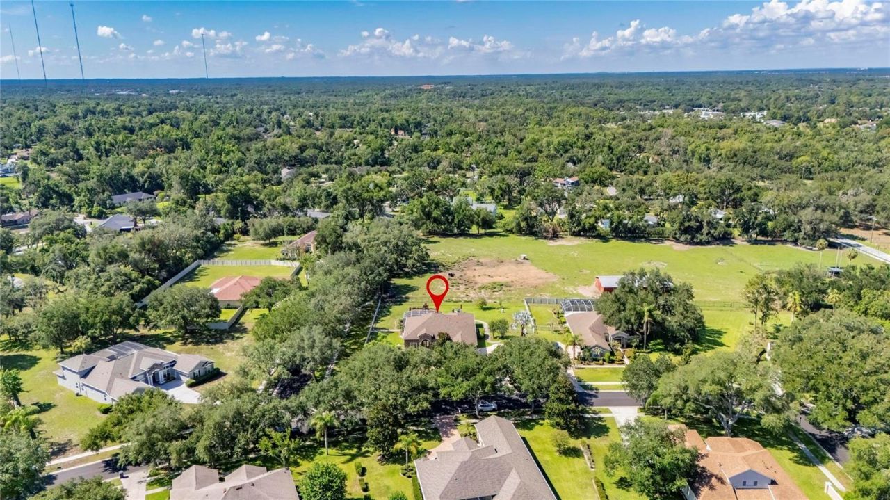 209 Forest Breeze Avenue, Brandon, FL 33511 Photo