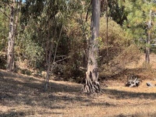 1089 Karina Way, Arroyo Grande, CA 93420