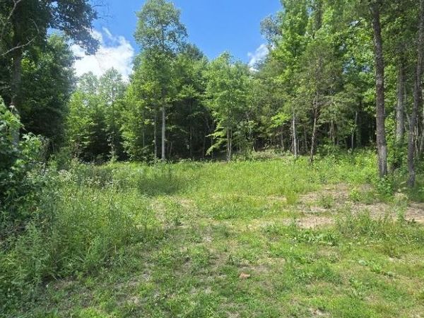 425 Anderson Hollow Rd, Huntsville, TN 37756