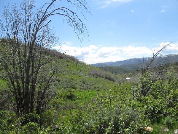 3258 N WATER CANYON AVE, Unit 679, Huntsville, UT 84317