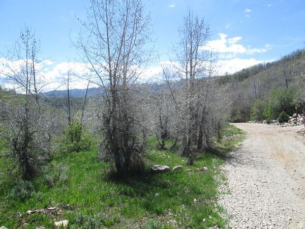 3258 N WATER CANYON AVE, Unit 679, Huntsville, UT 84317