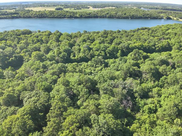 XXXXX 407th Street , Dent, MN 56528