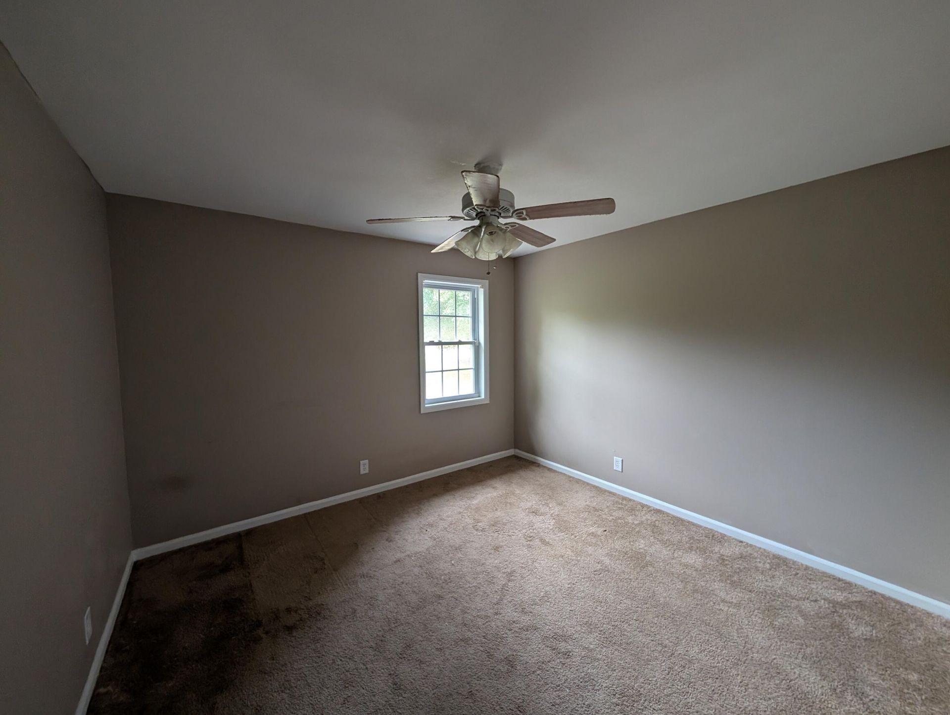 33 Elliott Court Photo 19