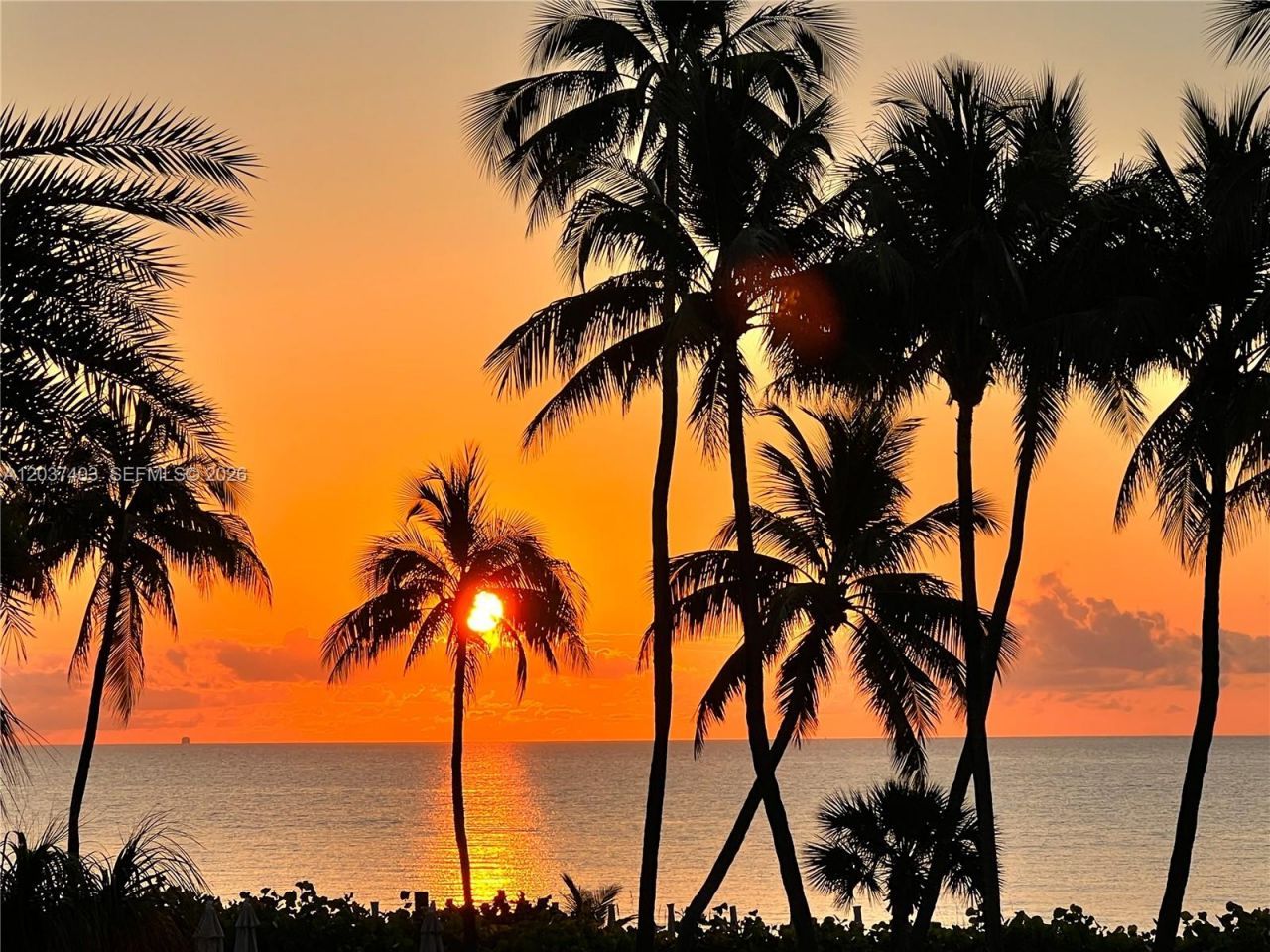 Please Call For Address, Unit 242, Key Biscayne, FL 33149 Photo