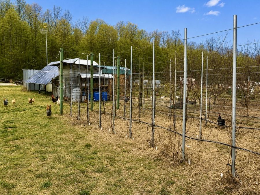 Property Image 13