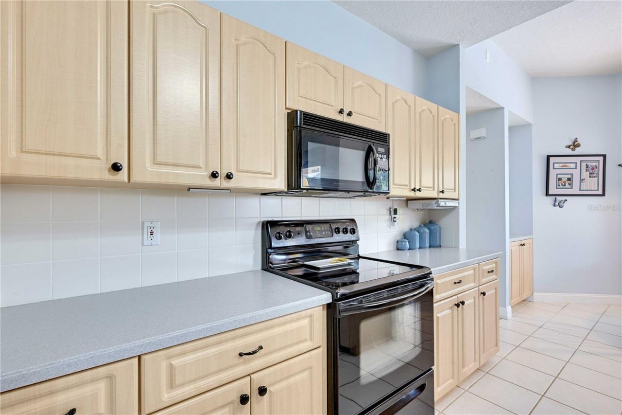 13855 Rudi Loop , Spring Hill, FL 34609 Photo