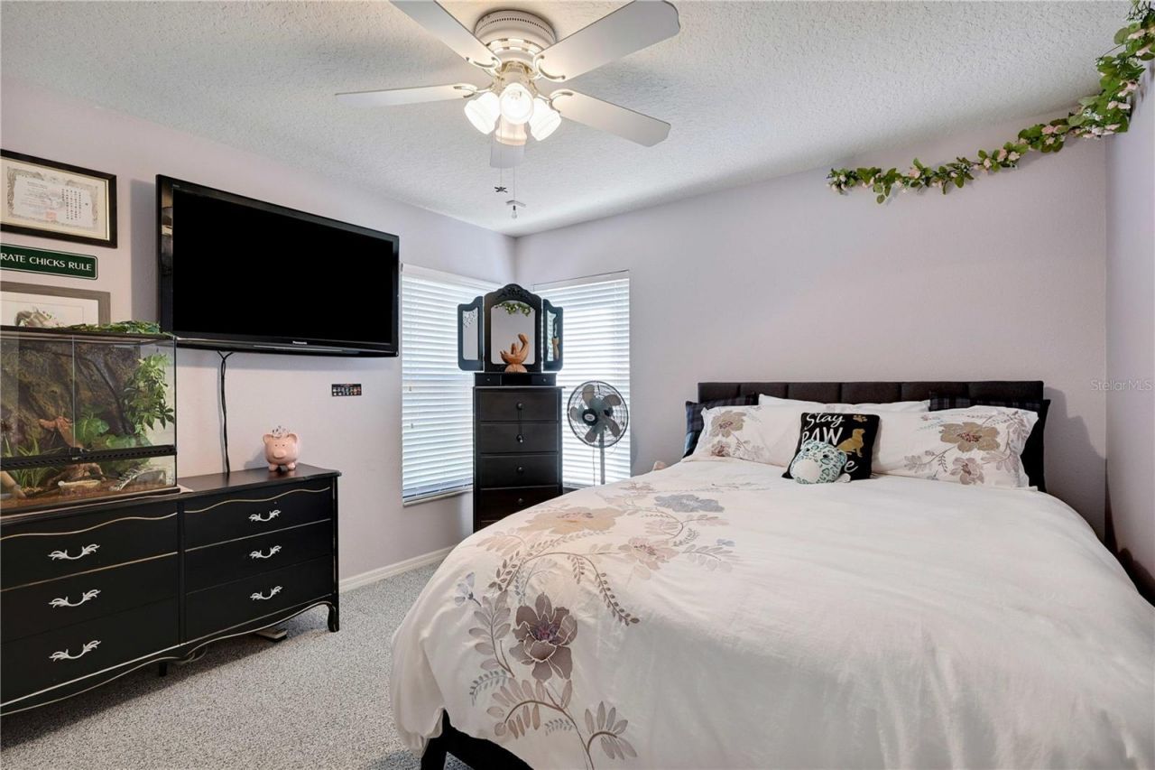 13855 Rudi Loop , Spring Hill, FL 34609 Photo