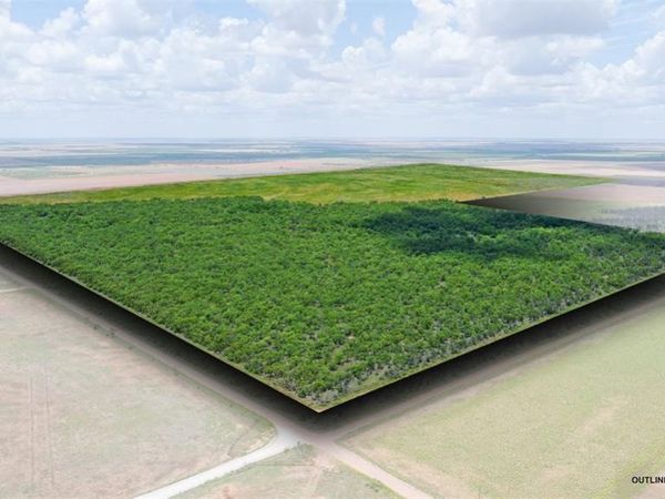 TBD CR 260 , Anson, TX 79501