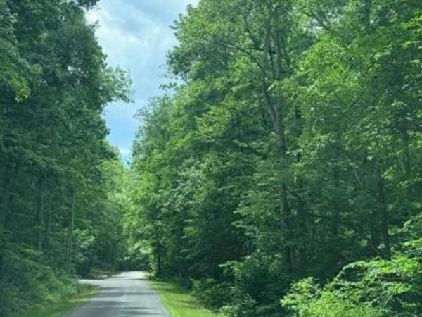 8704 MILLWOOD DRIVE , SPOTSYLVANIA, VA 22551