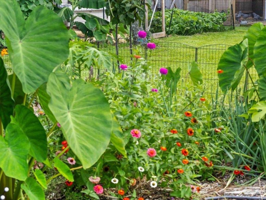 Property Image 56
