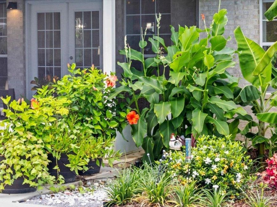 Property Image 61
