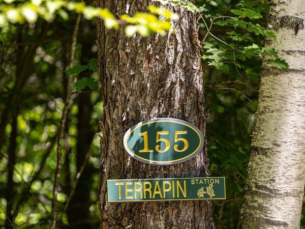 155 Pratt Bridge Road, Jamaica, VT 05343