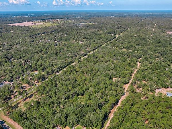 000 NE 82ND PLACE , BRONSON, FL 32621