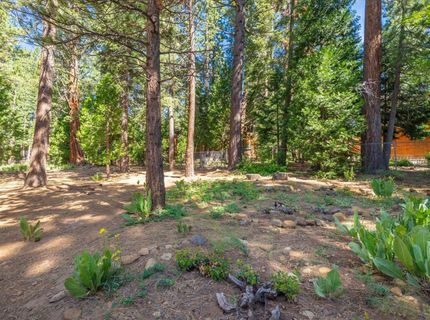 1040 Trent Lane, Kings Beach, CA 96143 Photo