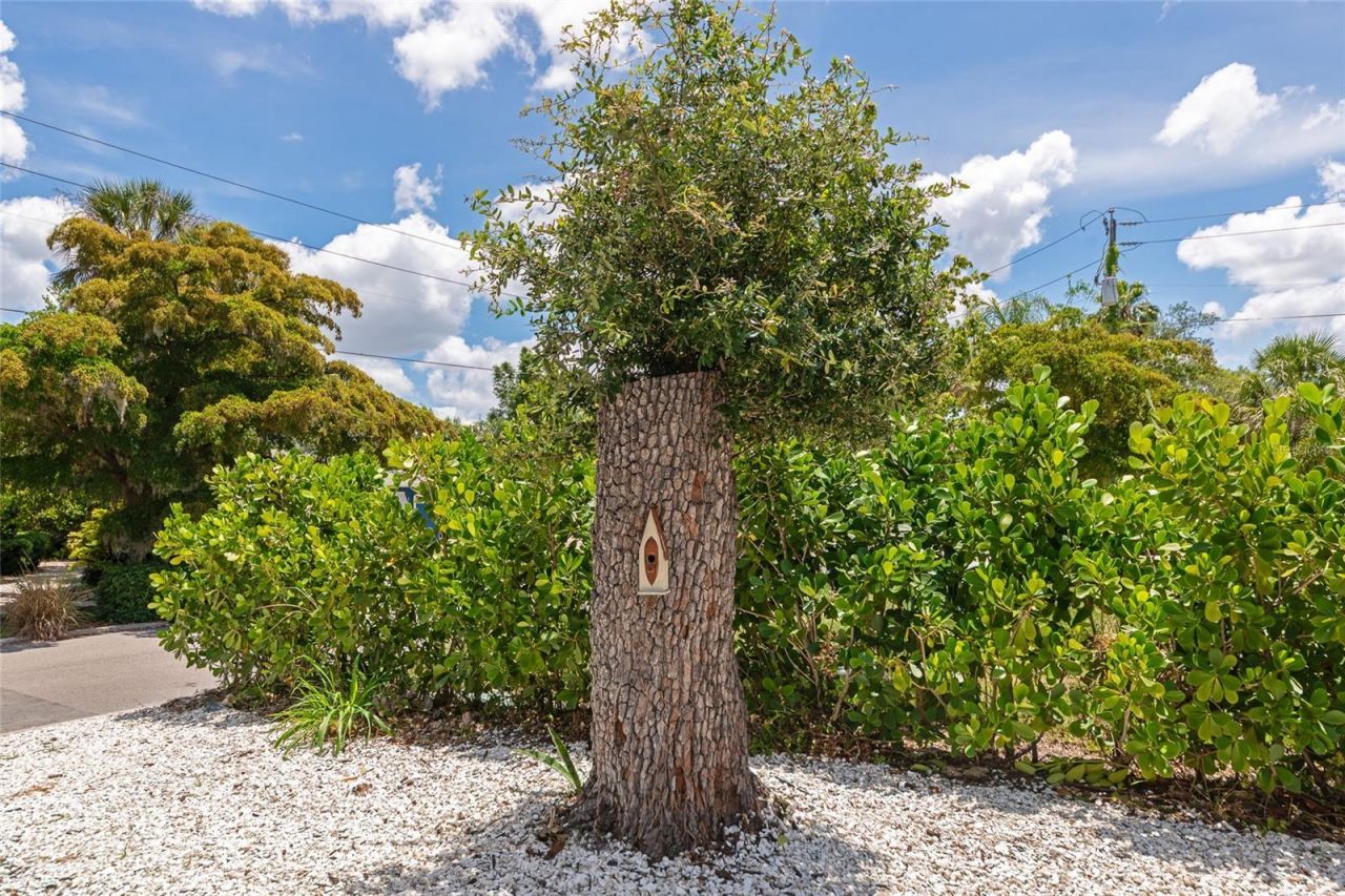 1034 N 22nd Street, Sarasota, FL 34234 Photo