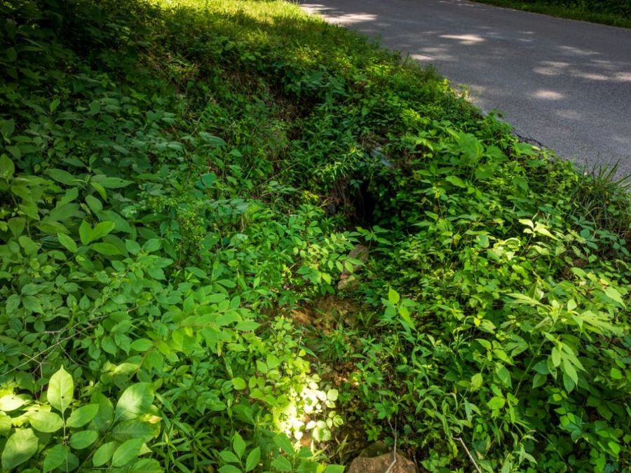 Property Image 33
