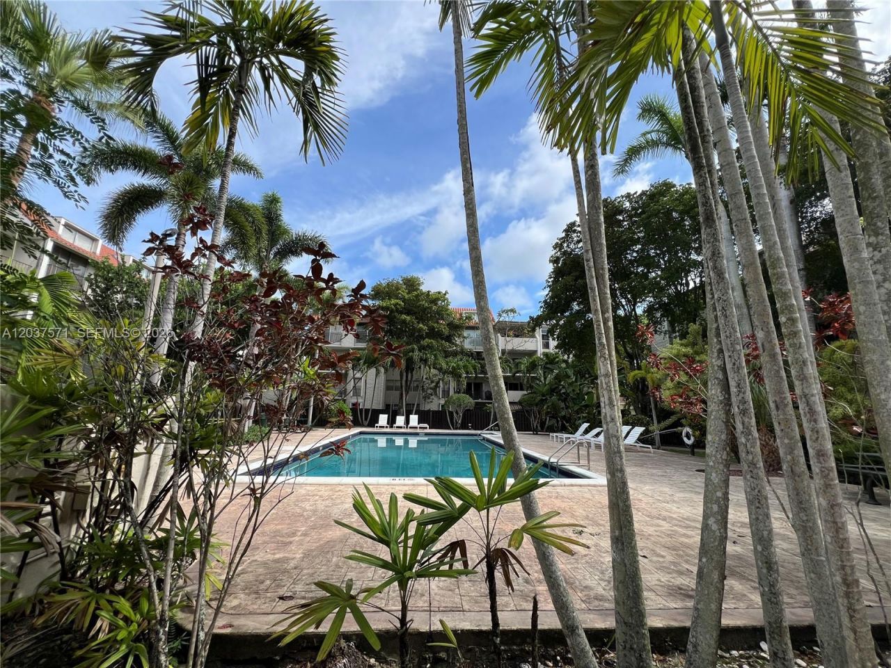 6886 N Kendall Dr , Unit D407, Pinecrest, FL 33156 Photo