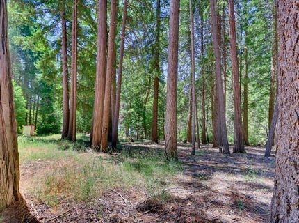 12002 Snowbourne Rd., Nevada City, CA 95959 Photo