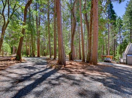 12002 Snowbourne Rd., Nevada City, CA 95959 Photo