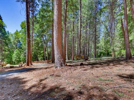 12002 Snowbourne Rd., Nevada City, CA 95959 Photo