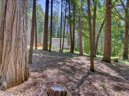 12002 Snowbourne Rd., Nevada City, CA 95959 Photo