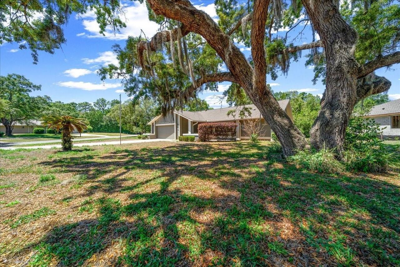 2 Canela Court , Homosassa, FL 34446 Photo
