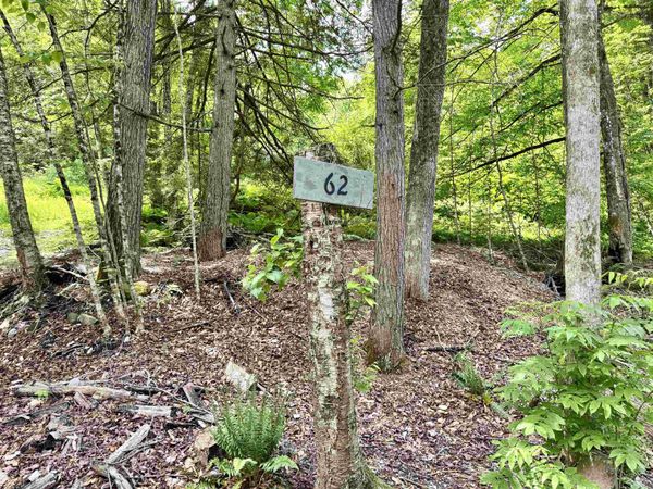 62 Foundry Road, Tunbridge, VT 05077