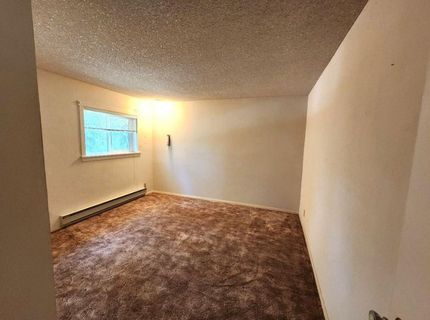 3614 N Railroad Flat Rd, Wilseyville, CA 95257 Photo