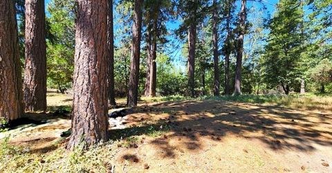 3614 N Railroad Flat Rd, Wilseyville, CA 95257 Photo