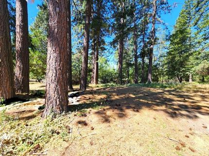 3614 N Railroad Flat Rd, Wilseyville, CA 95257 Photo
