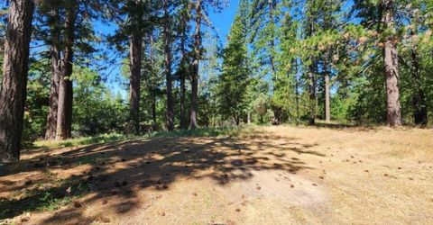 3614 N Railroad Flat Rd, Wilseyville, CA 95257 Photo