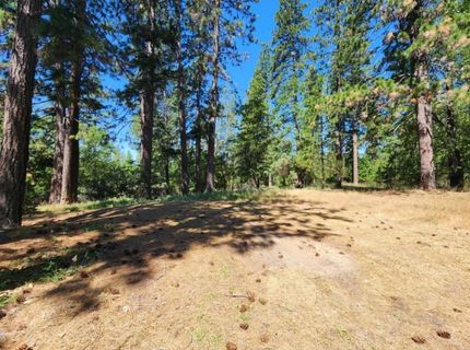 3614 N Railroad Flat Rd, Wilseyville, CA 95257 Photo