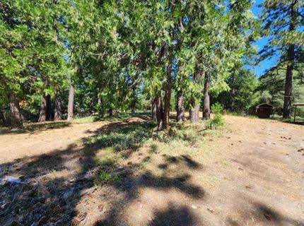 3614 N Railroad Flat Rd, Wilseyville, CA 95257 Photo